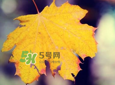 立秋后吃什么好？立秋后怎么養(yǎng)生？