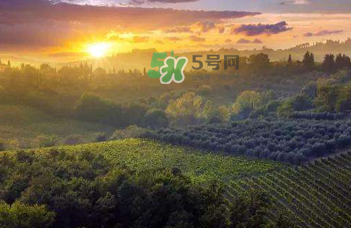 立秋后吃什么好？立秋后怎么養(yǎng)生？