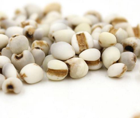 雞頭米是蓮子嗎？雞頭米是薏米嗎