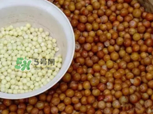 雞頭米一次吃多少合適？雞頭米可以多吃嗎