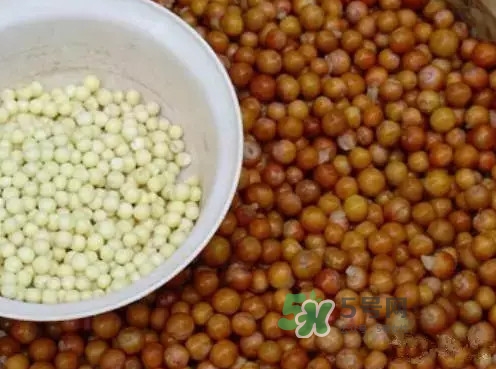 雞頭米什么時(shí)候上市？雞頭米什么時(shí)候最好吃