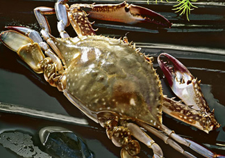 梭子蟹放冷藏還是冷凍？梭子蟹可以放速凍嗎？