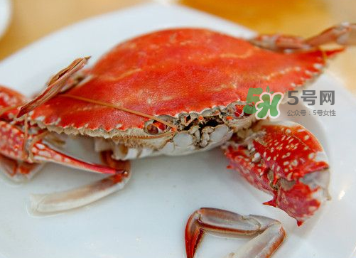 梭子蟹可以清蒸嗎？梭子蟹蒸還是煮？