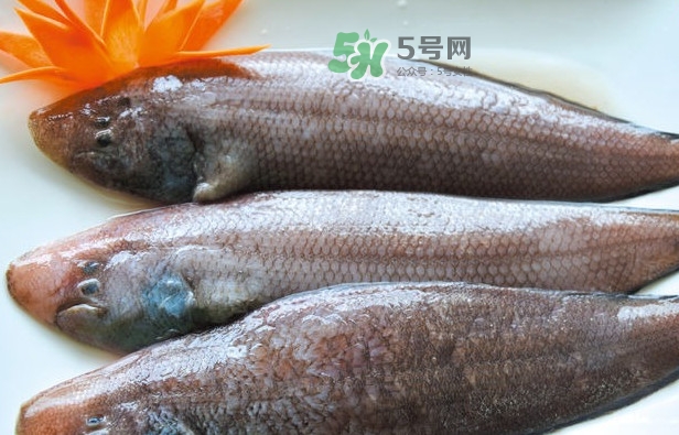 龍利魚怎么做給寶寶吃？龍利魚怎么處理