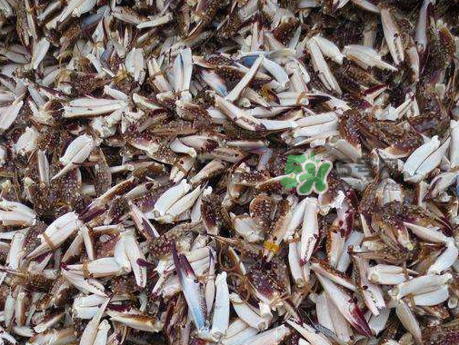 冷凍的梭子蟹能吃嗎？冷凍的梭子蟹怎么做？