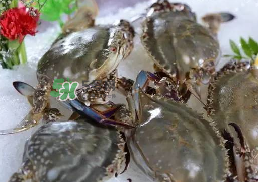 梭子蟹放冷藏還是冷凍？梭子蟹可以放速凍嗎？