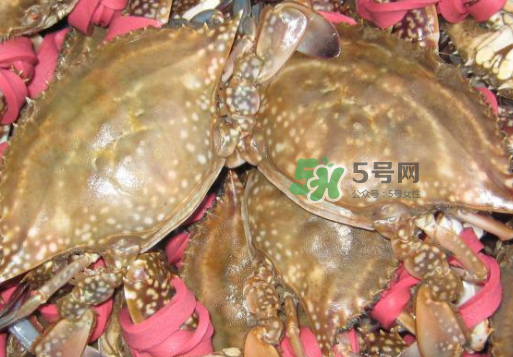 梭子蟹放冷藏還是冷凍？梭子蟹可以放速凍嗎？