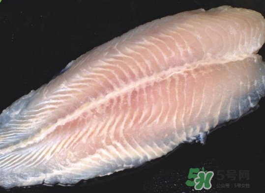 龍利魚有刺嗎？龍利魚有魚鱗嗎