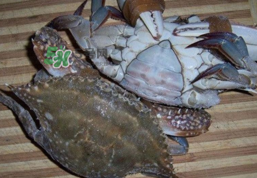 梭子蟹放冷藏能活多久？梭子蟹放冷凍保存多久？