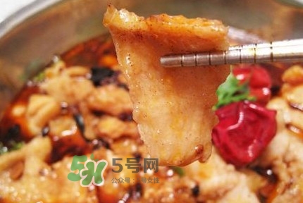 龍利魚有寄生蟲嗎？龍利魚有假的嗎