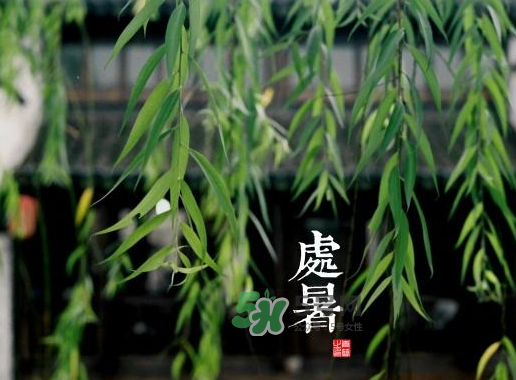 2017處暑還熱嗎？2017處暑后天氣還熱嗎？