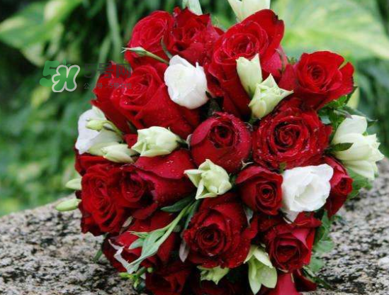 2017處暑結(jié)婚好嗎？2017處暑可以結(jié)婚嗎？