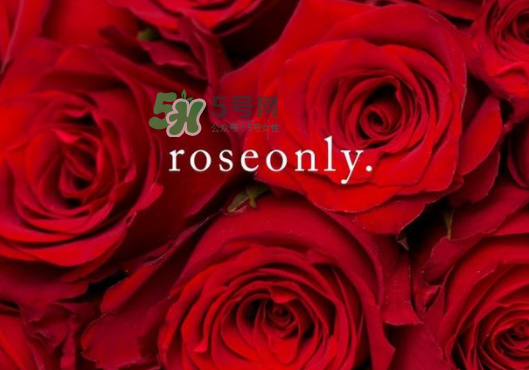 2017七夕禮盒roseonly多少錢？roseonly巨型玫瑰禮盒多少錢？