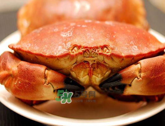 面包蟹一只多少斤？面包蟹一只多少錢(qián)？