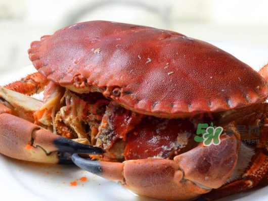 面包蟹一只多少斤？面包蟹一只多少錢(qián)？