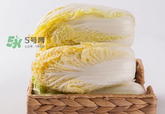 娃娃菜是什么季節(jié)的？娃娃菜什么時候種植