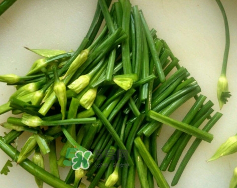 韭菜苔孕婦能吃嗎？孕婦可以吃韭菜苔嗎