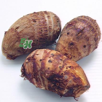 中秋節(jié)為什么吃芋頭？中秋節(jié)吃芋頭的來源