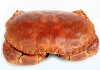 面包蟹一只多少斤？面包蟹一只多少錢？