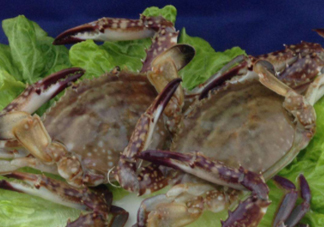 梭子蟹放冷藏能活多久？梭子蟹放冷凍保存多久？