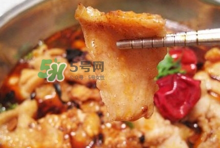 龍利魚有刺嗎？龍利魚有魚鱗嗎