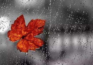 2017處暑會(huì)下雨嗎？處暑會(huì)下雨好嗎？