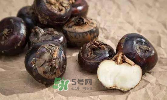 野荸薺是什么樣子的？野荸薺的營養(yǎng)價(jià)值