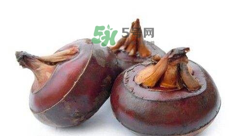 野荸薺怎么吃？野荸薺的食用功效