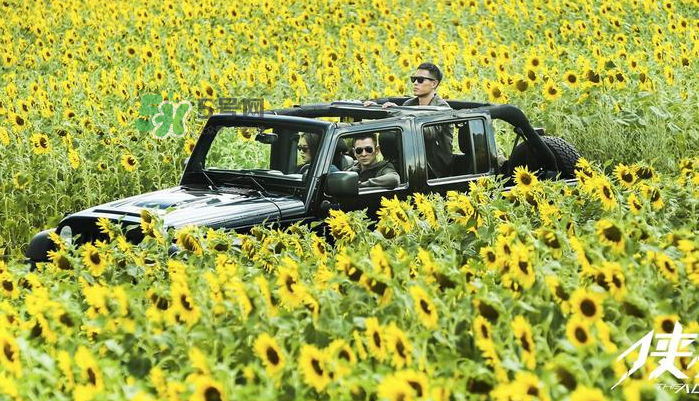 俠盜聯(lián)盟張丹開的越野車什么牌子？俠盜聯(lián)盟劉德華開的什么車？
