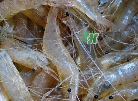 太湖白蝦什么時(shí)候上市？太湖白蝦上市時(shí)間