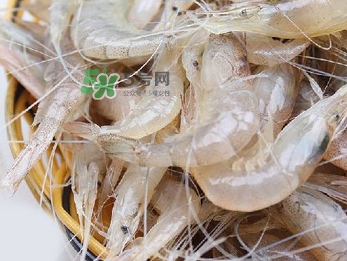 白蝦是河蝦還是海蝦？白蝦是寒性的嗎