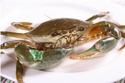 青蟹可以冷凍嗎？青蟹冷凍了還可以吃嗎？