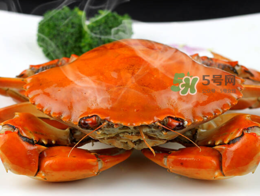 青蟹可以冷凍嗎？青蟹冷凍了還可以吃嗎？