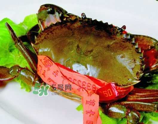 青蟹能放幾天？青蟹能活多久？