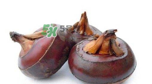 吃荸薺有什么好處？吃荸薺的禁忌