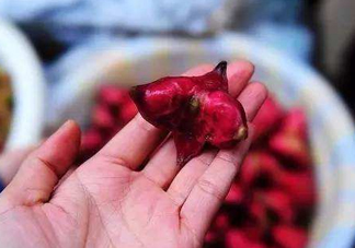 紅菱怎么吃？吃紅菱有什么好處？