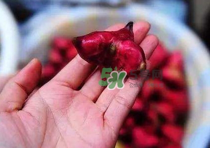 紅菱怎么吃？吃紅菱有什么好處？
