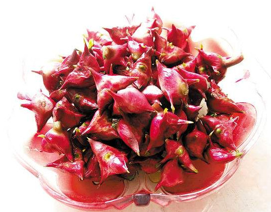 紅菱多少錢(qián)一斤？菱角嫩的好吃還是老的好吃？