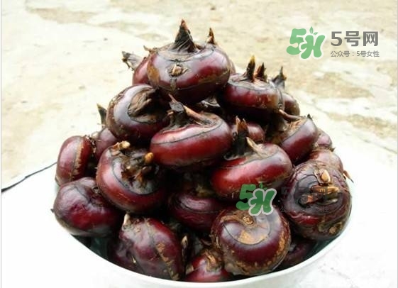 野荸薺是什么樣子的？野荸薺的營養(yǎng)價(jià)值