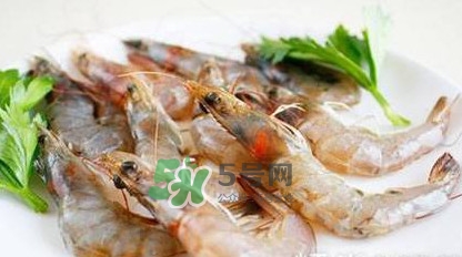 白蝦有寄生蟲嗎？如何選購(gòu)新鮮的蝦