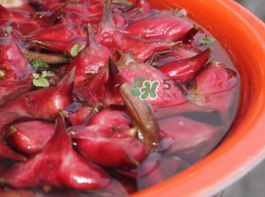 紅菱什么時(shí)候上市？什么時(shí)候采紅菱