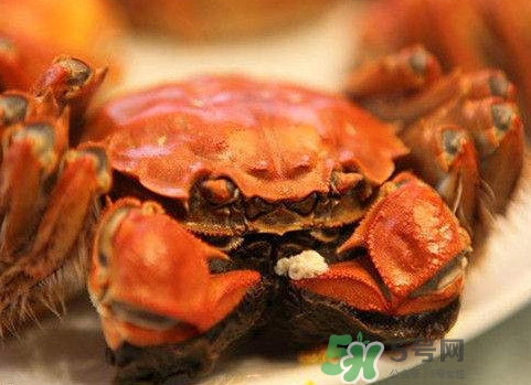 太湖蟹什么時候上市？太湖蟹幾月份有