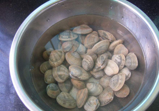 海瓜子死了還能吃嗎？海瓜子死了是什么樣子