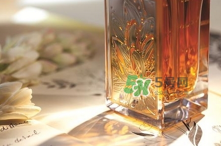 蘭蔻殿堂香水怎么樣_蘭蔻殿堂香水好聞嗎 蘭蔻殿堂香水怎么樣_蘭蔻殿堂香水好聞嗎