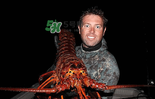 七彩神蝦多少錢一斤？七彩神蝦估值