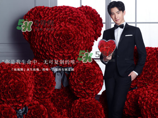 roseonly熊怎么樣？roseonly玫瑰熊好看嗎？