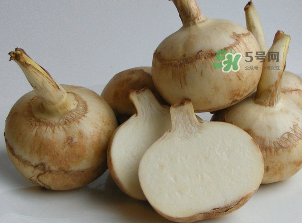 慈姑是什么？慈姑是水生植物嗎