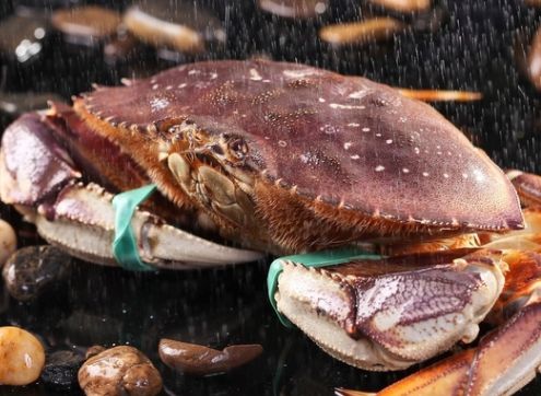 太子蟹多少錢(qián)一斤？太子蟹多少錢(qián)一只？