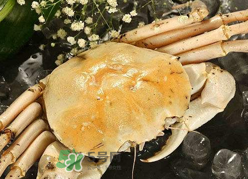 雪蟹多少錢一斤？雪蟹多少錢一只？