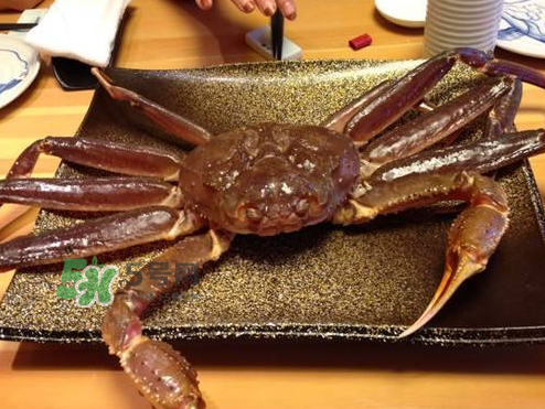 雪蟹多少錢一斤？雪蟹多少錢一只？